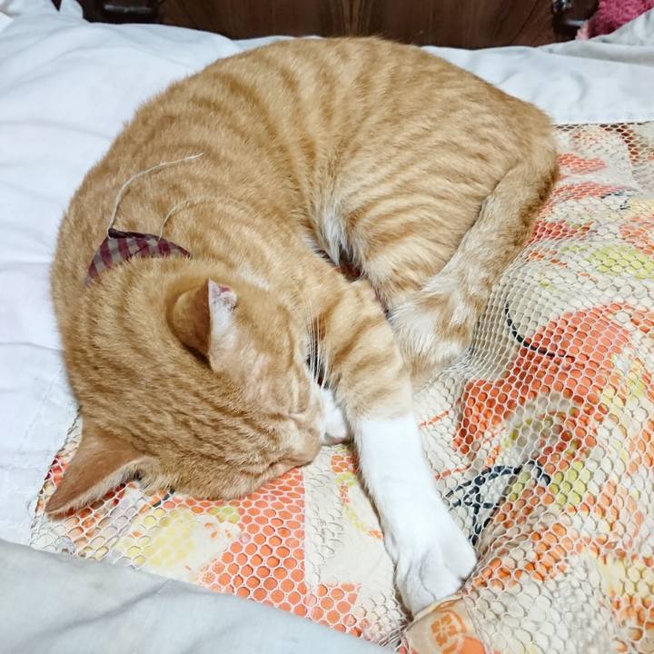 6b17e680 fbdd 4fcf 9afd cacc8d5a9124 1567427152700