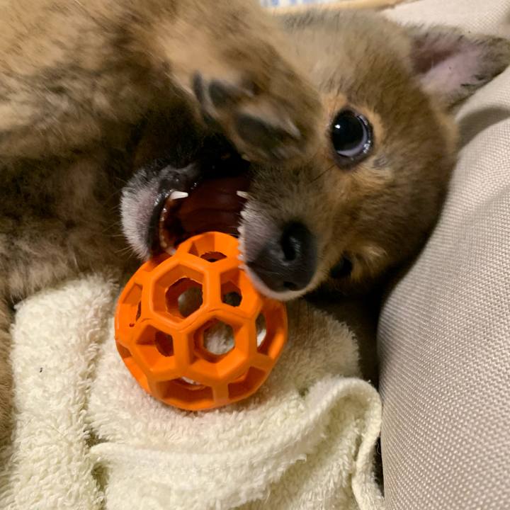 6b17f00d 725a 4612 92de 094328df076e 1616502169407