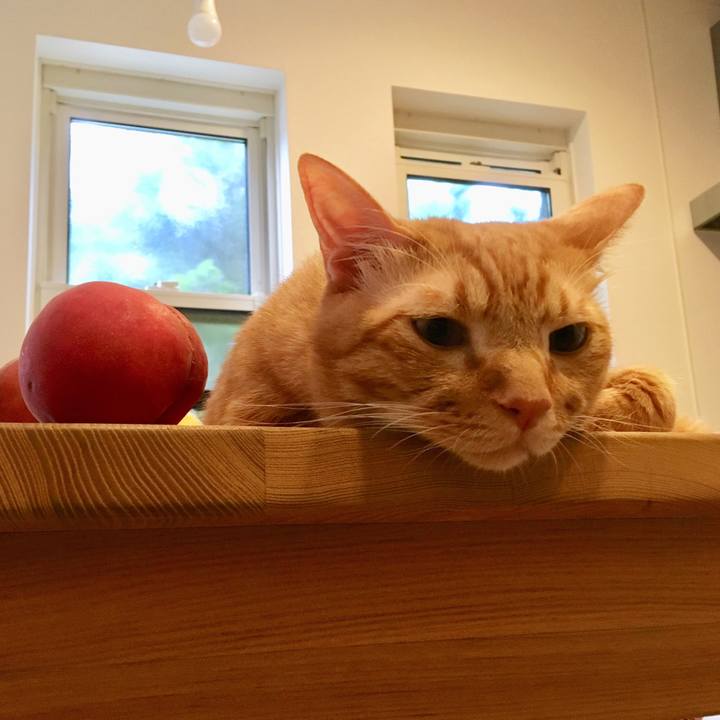 6b180773 84ad 4b25 a0b4 2b5dacda1f37 1536719245593