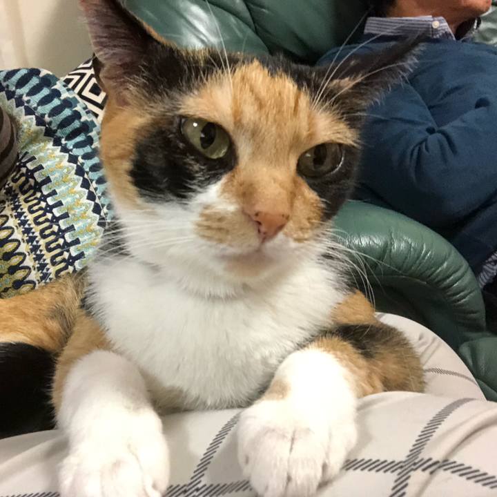 6b181580 a04c 4506 be4d ce53c5aed6de 1544017608574