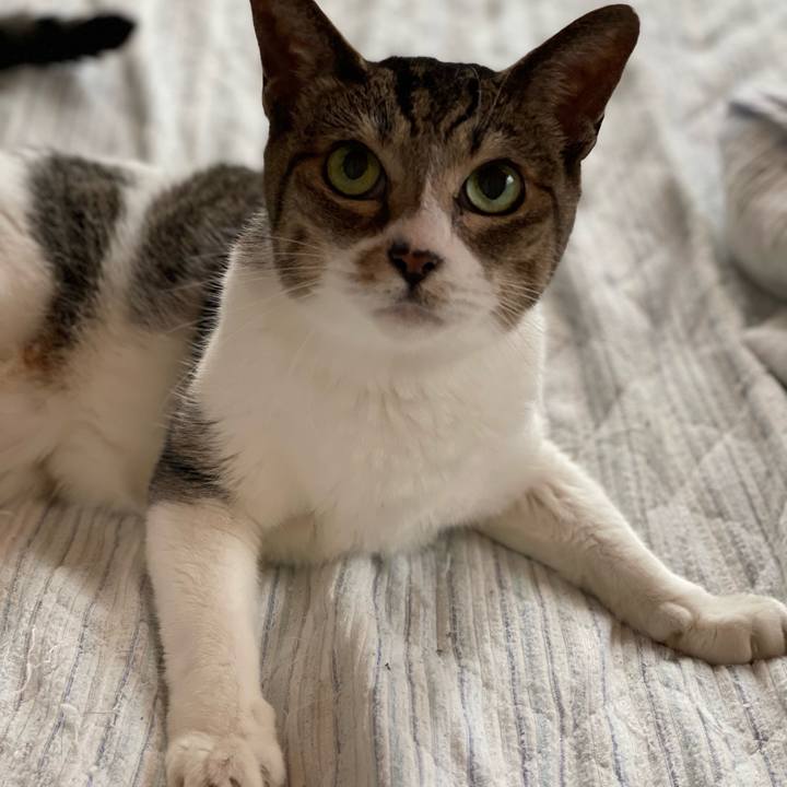 6b1828c4 e36e 44bb ad8a 367bd7896dae 1661732828670