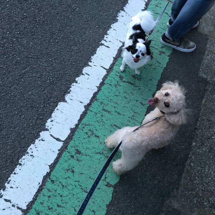 6b182e4e a7e4 4026 8970 e23d3f2aa07e 1530363720146