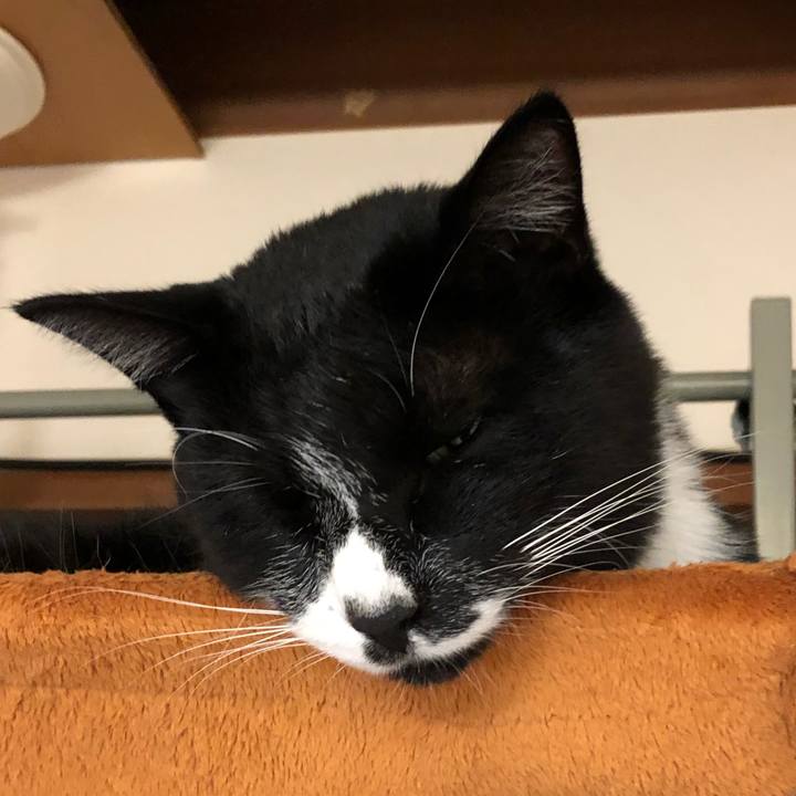 6b183f09 fe69 4909 ac2c 0e1647ecb2f1 1602420746638