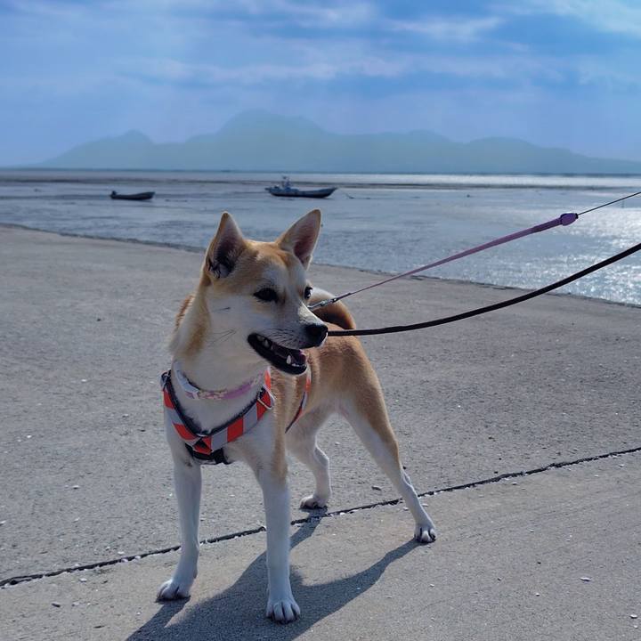 6b186895 bf59 4b1a 8dfc 50bc1f000aeb 1772868277005