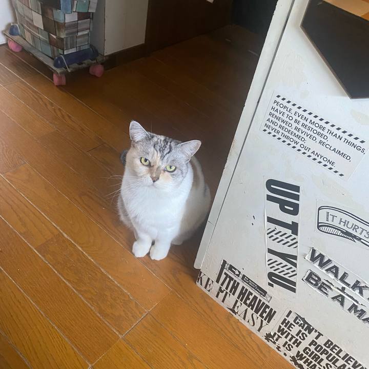 6b18c31a 027e 4feb abf5 79d0aeb220f8 1699671410729