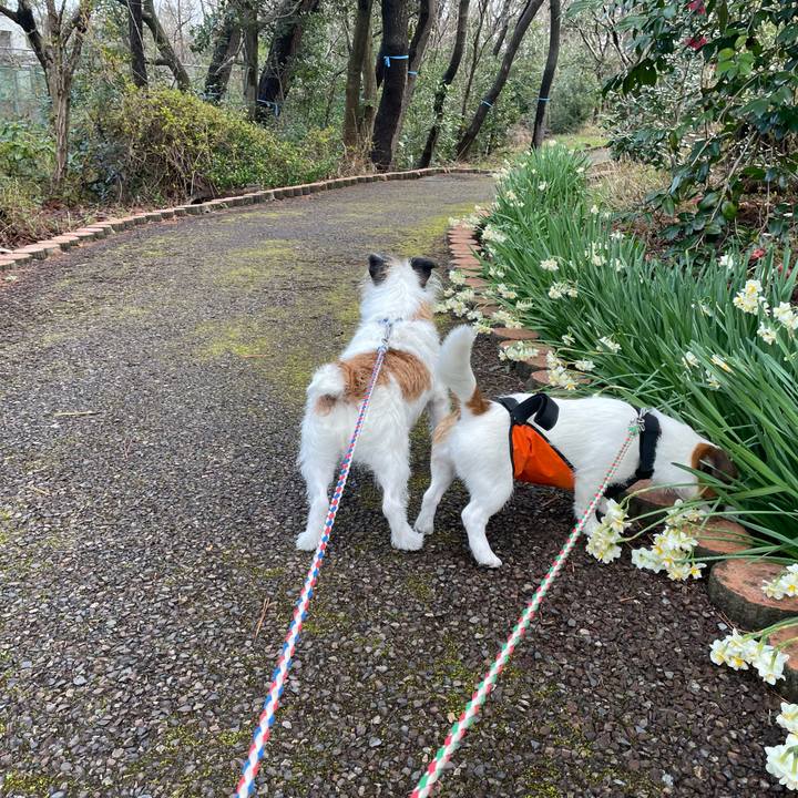 6b18d5a1 bd1b 4cef 9fc3 adb4c02de6d7 1648339305511