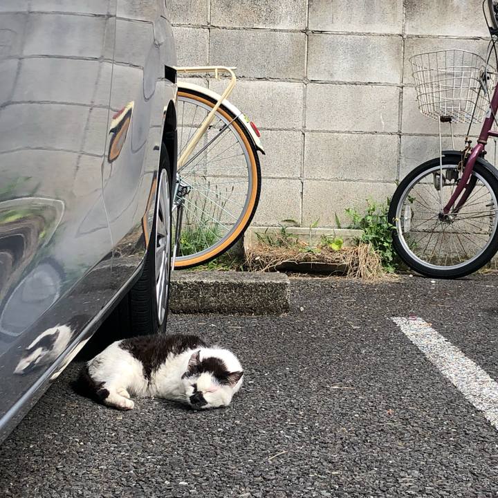 6b18d709 0ca0 4cf8 81e7 2d1c1206f794 1559128623146