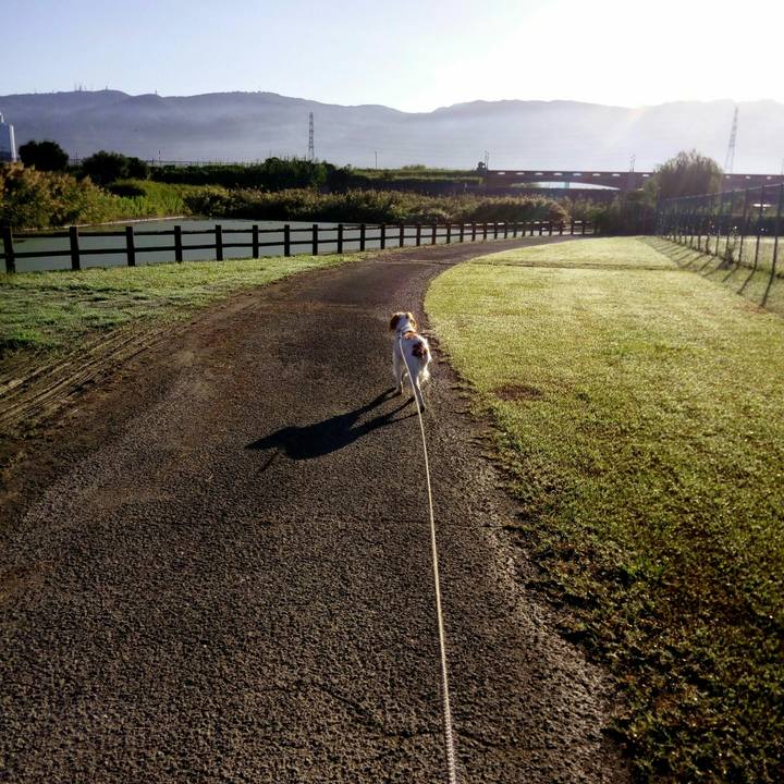 6b18ee57 4d76 4874 a838 0e1e364cb908 1510488476302