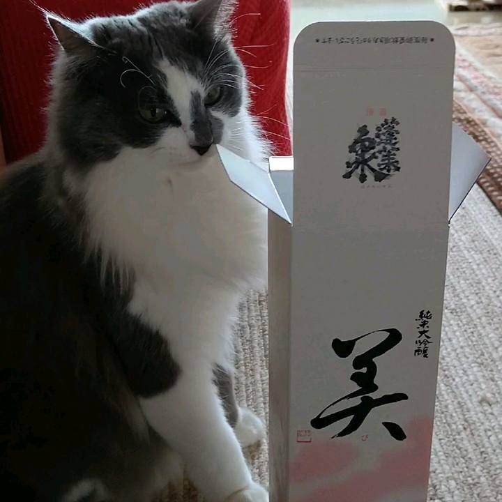 6b19193b 855a 4081 880c 1c9e24aa39db 1588131423199