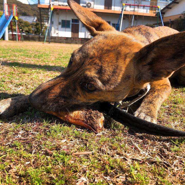 6b1930d2 40bf 48c1 8a77 d5706b71379d 1579748513056