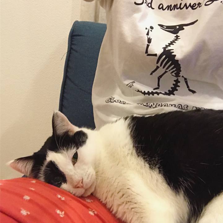 6b1964d9 759b 4d29 86f1 37aa7d236589 1522077158491