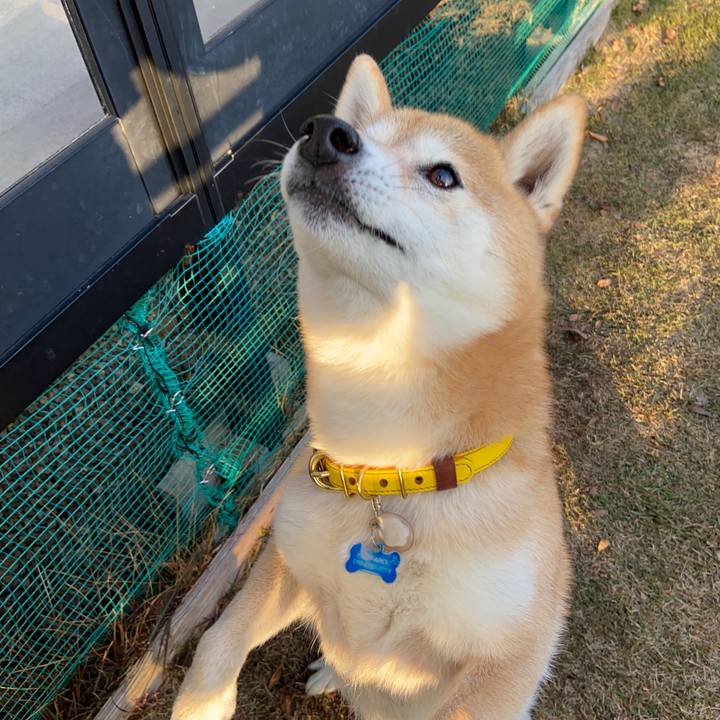 6b196fe7 d401 454f a1c9 863f41183712 1639491223108