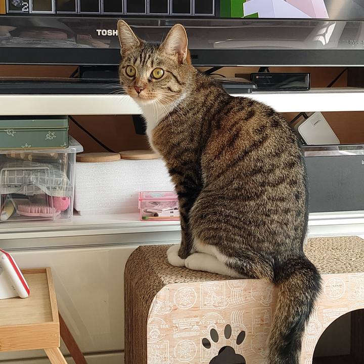 6b197bbf ca73 4610 b75f c93d6d270c15 1664695076199