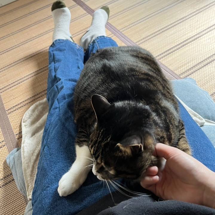 6b199209 472a 400a bffa 4010fb7307fa 1775688807311