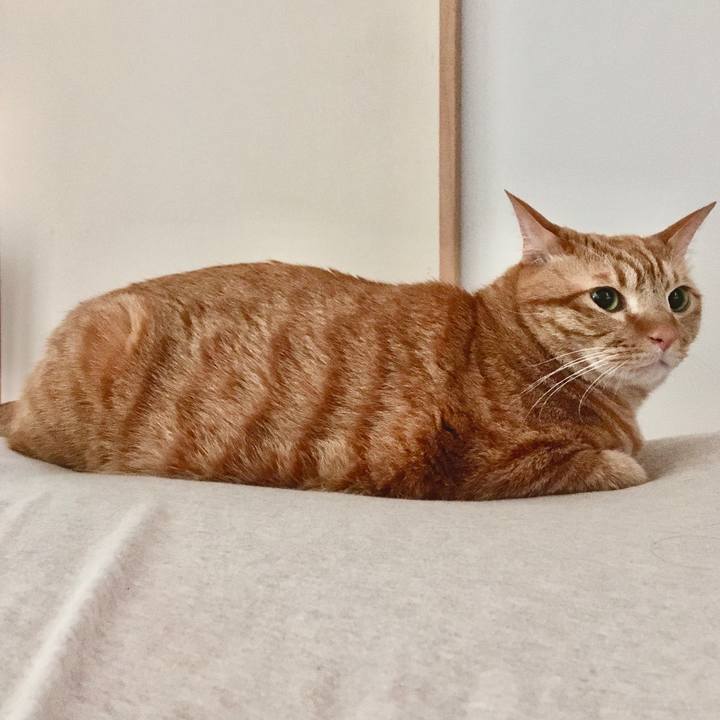 6b19ac3a 0116 4c7e 856f 0bf111e7d166 1589418240852