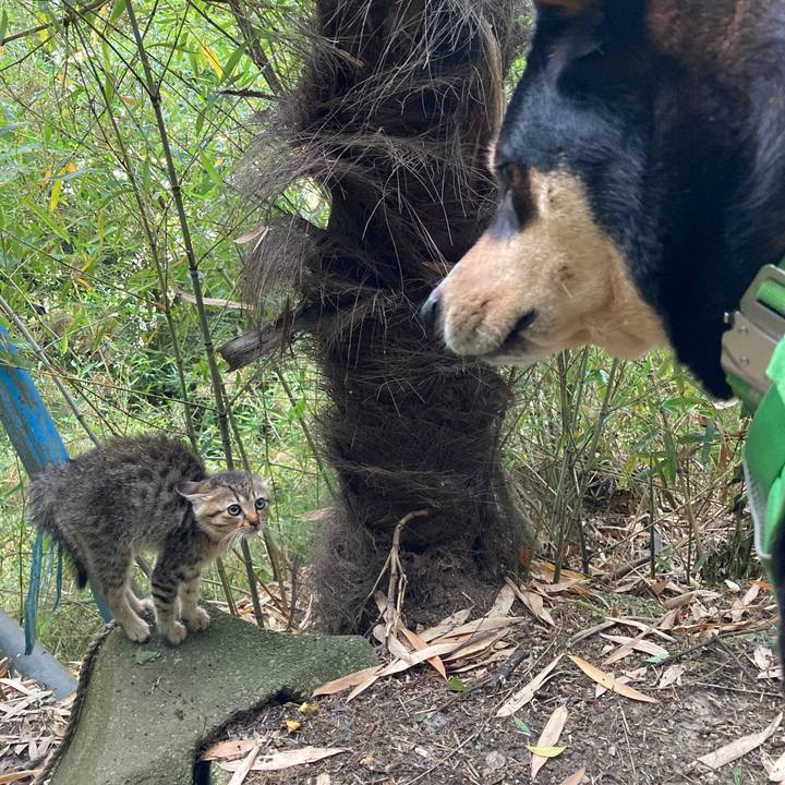 6b19b9c7 381b 4ac3 8b19 6ec3e70bfc31 1590379787984