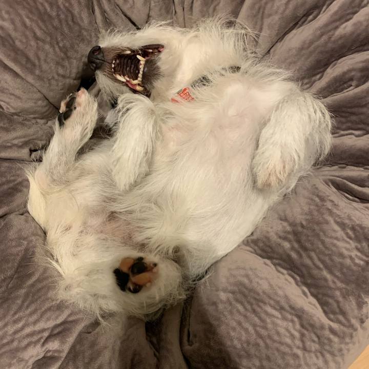 6b19d73a 841b 4f4c 824c 75b1b88569de 1602766882116