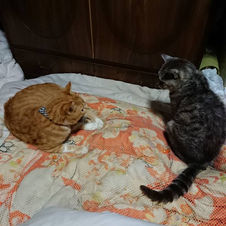 6b1a1d05 ab4b 446c 8611 a9930431707e 1569758966182