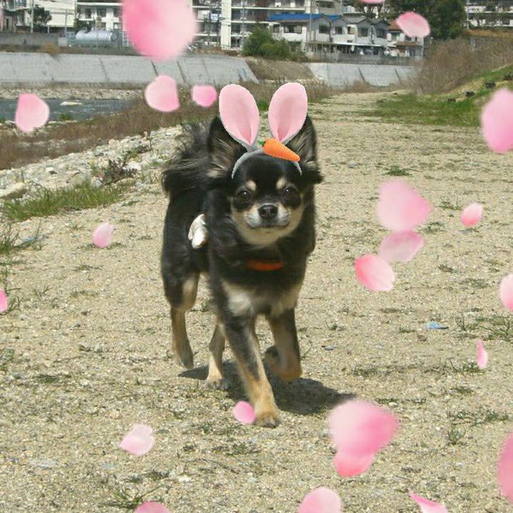 6b1a2c58 18bf 4858 a7fe e1409604923c 1583796685885