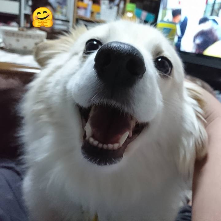 6b1a3329 dc92 4d4d 83ae d23bf0631931 1522097098945