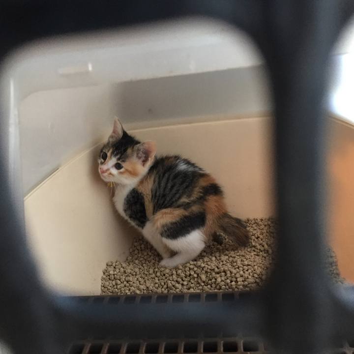 6b1a545b ab83 4bda 8e7b 9ab2bccdd566 1570679701243