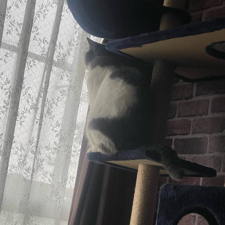 6b1a578a 6088 4bd5 8747 6e4e75e9a627 1702342087177