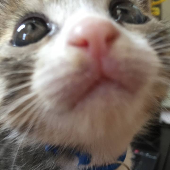 6b1aa860 bb5c 479e 80e4 08dbd7adbb9b 1652205958631