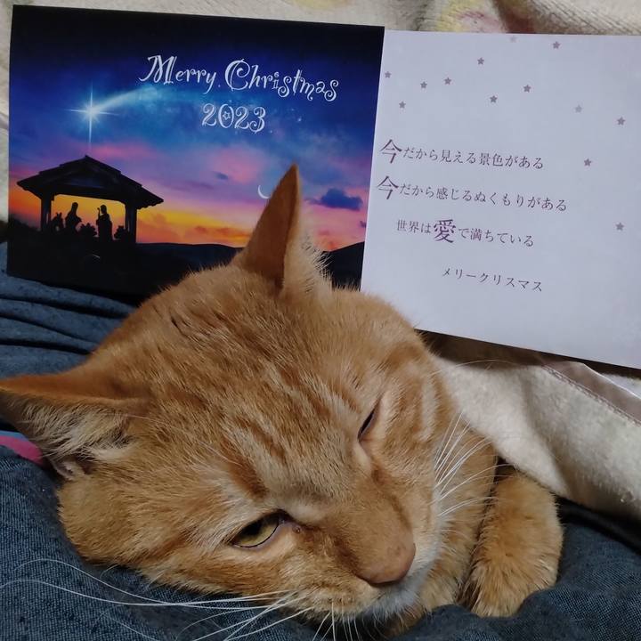 6b1aabf1 ea48 4134 9157 aff642fca310 1703416698430