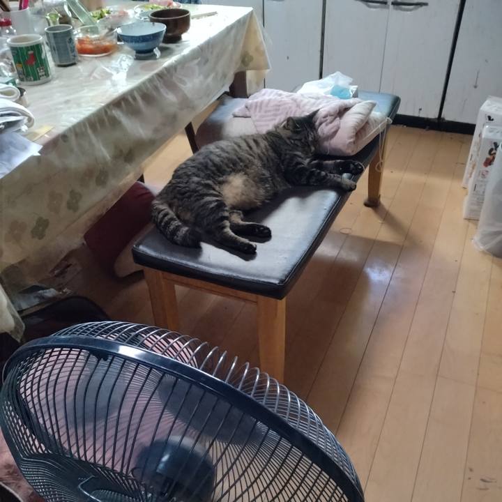 6b1ab2cd 1204 49ed ae41 2215ab9b8f08 1690770308356