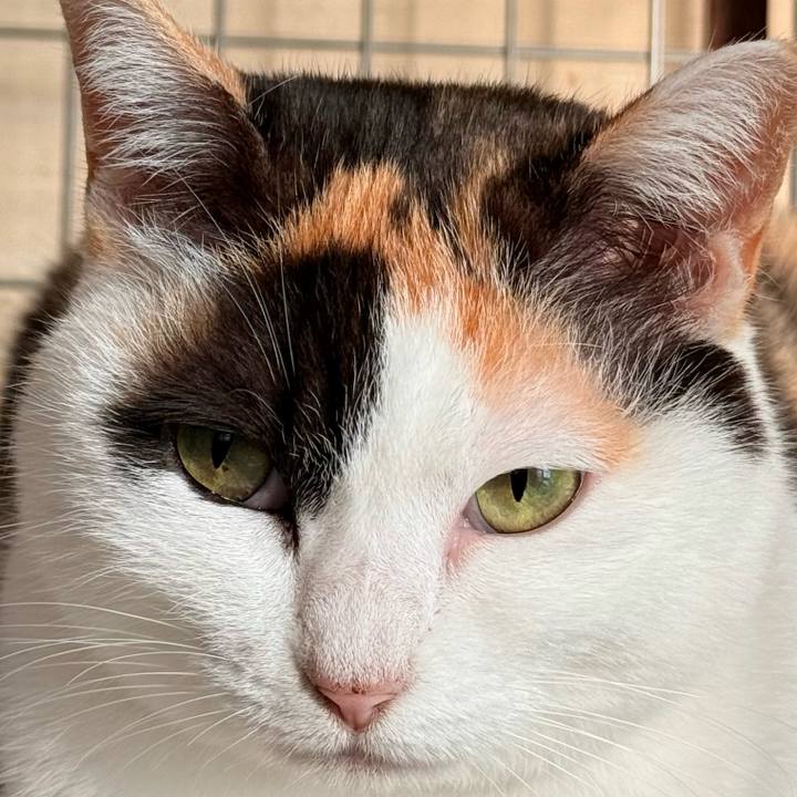 6b1aba50 944d 4442 805c 43dddce8a1c9 1737164052464