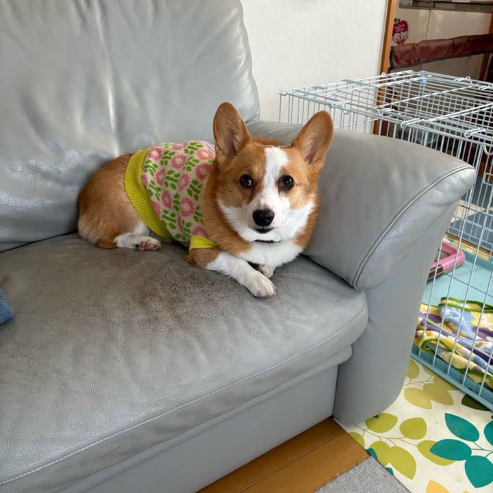 6b1abc61 40c0 4598 9192 533b44368045 1769575005967