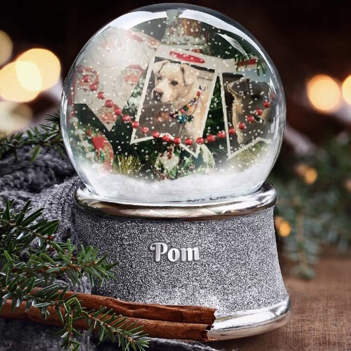 6b1b6c92 afb4 4775 85fa b52142153473 1514074327396