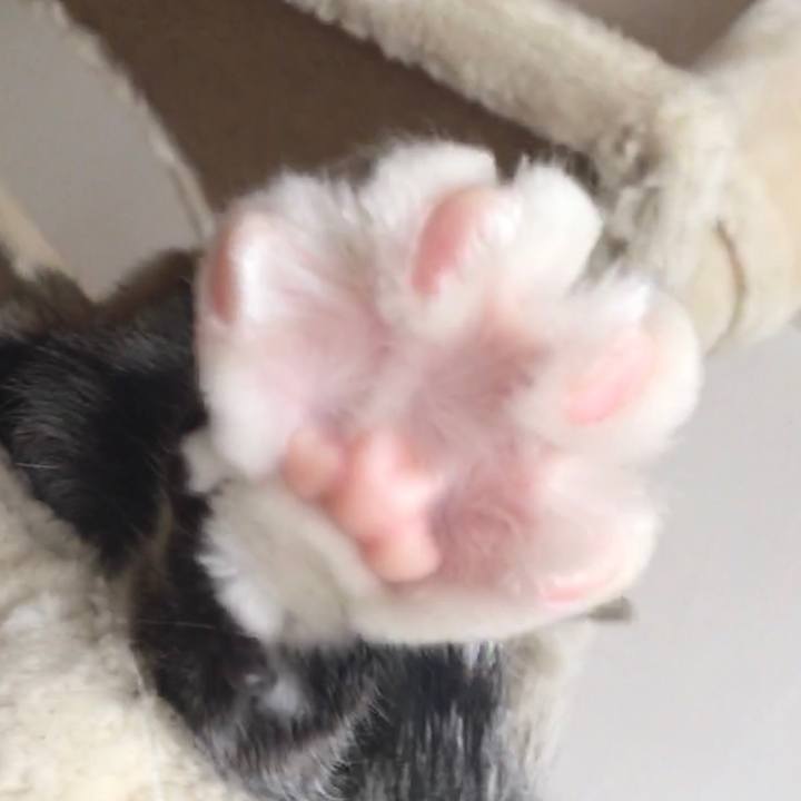 6b1b8fe5 1804 4877 9a92 558aa7a8217f 1670201763534