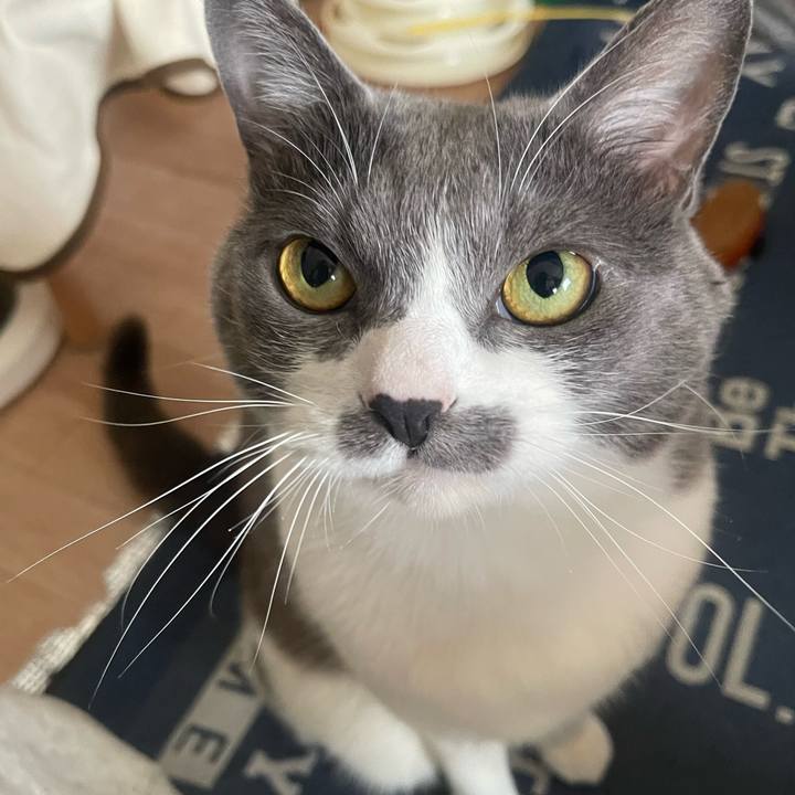 6b1ba4f7 15e5 4407 aecc 49b4eddb8aea 1746930663536