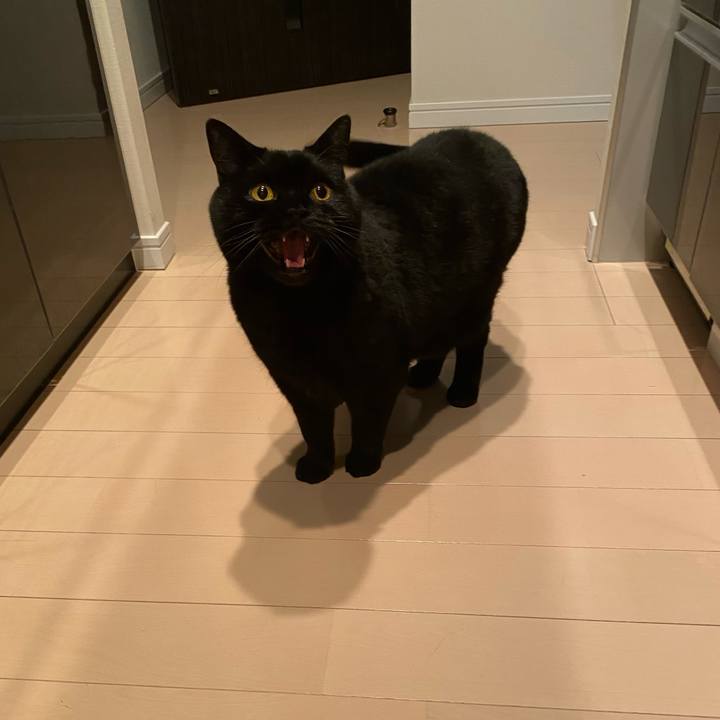 6b1bb1ce 432b 480f a4b9 fac6899cd03d 1707726494021