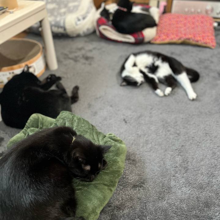 6b1bb474 b890 4908 b2bf 92046cea2e54 1674105290566