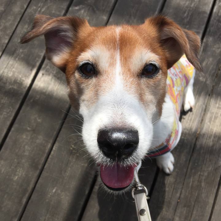 6b1bdbd5 9c45 4444 a6ea c2ae2f0209a4 1525094174652