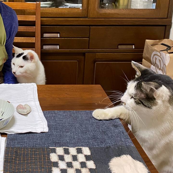 6b1bec44 d464 4c5a 90c3 b07300be0ffa 1673626848757