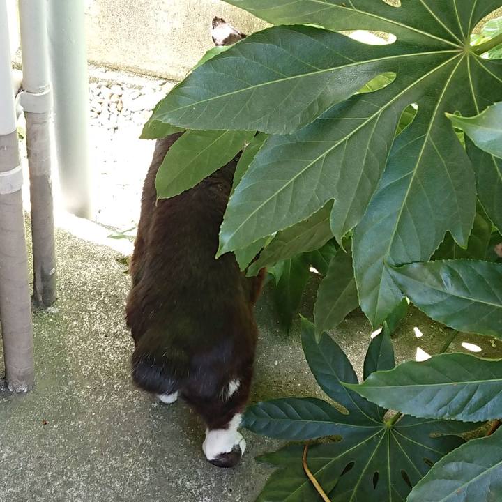 6b1bf73c 927a 4937 be5f 1a32198ef59b 1619494884682