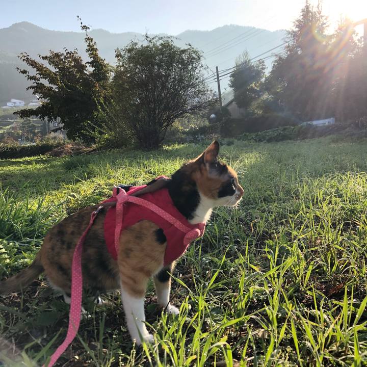 6b1c16f2 0c8c 43a3 b79d f4d017c0db63 1540163083304