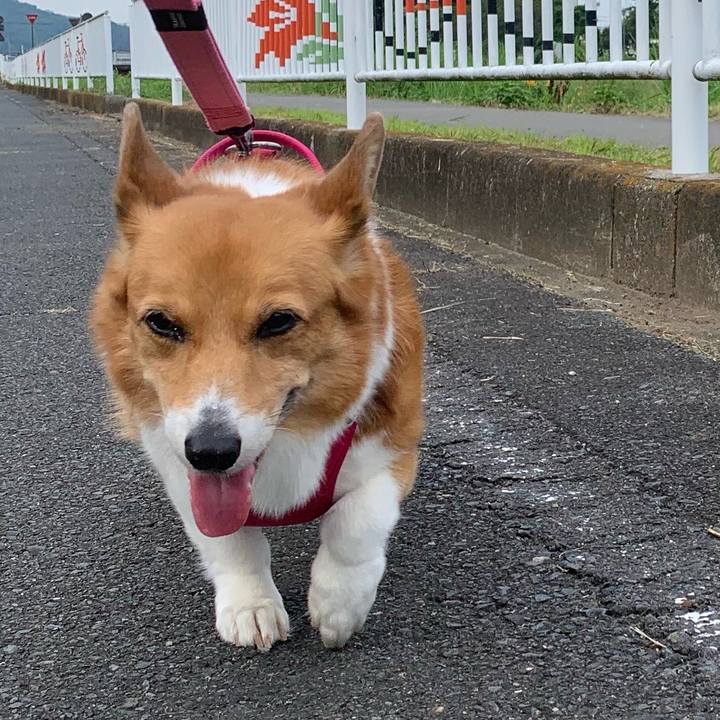 6b1c2a20 df00 4b78 bb60 94352814e7ed 1720480011590