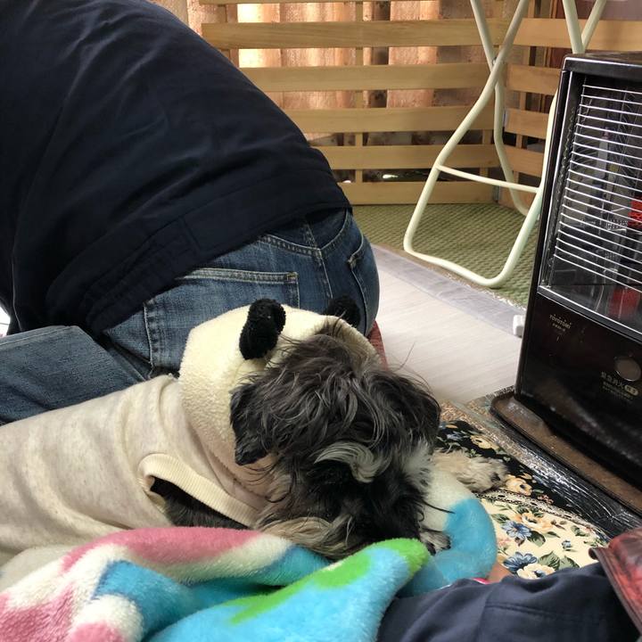 6b1c649a 79ef 464a 81b3 de28775d25c5 1585449945735