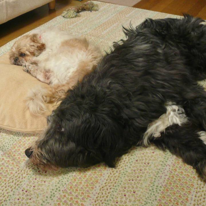 6b1c73d1 9ec4 4404 86ed 511770ae23e2 1531529969252