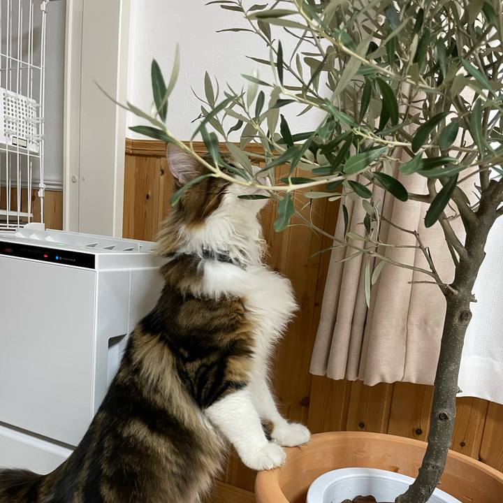 6b1c7579 4e02 4dec 90f0 fdda8c68fd03 1645316809779