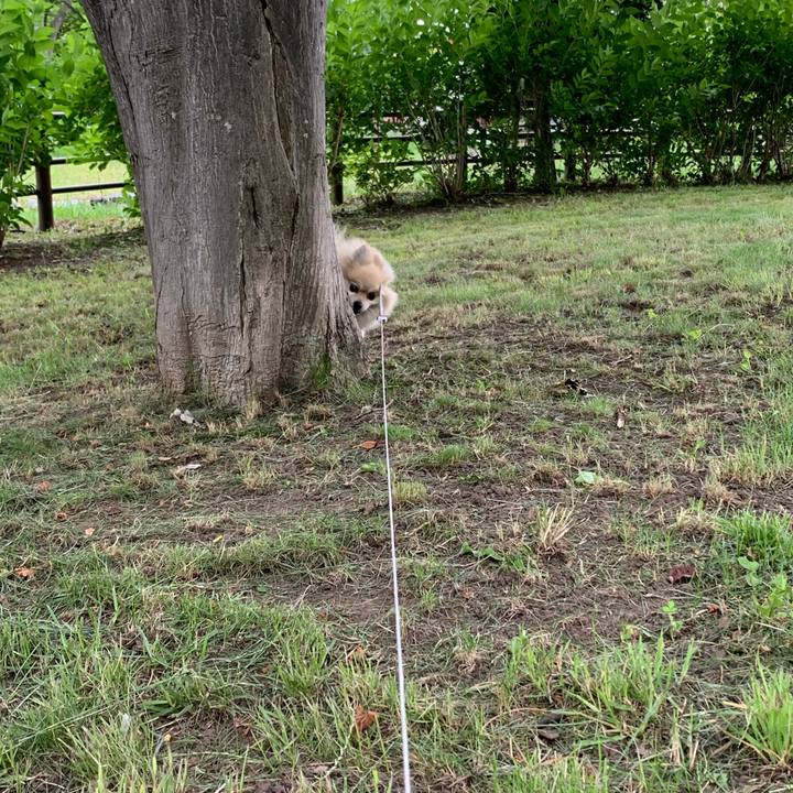 6b1c86a0 b7a6 482a bb7a e9ac9892d882 1596863053713