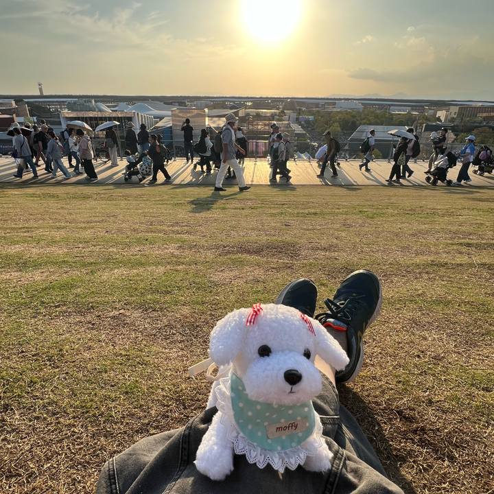 6b1ca9a0 149f 48be 99f5 79a880cb03a6 1759309365162