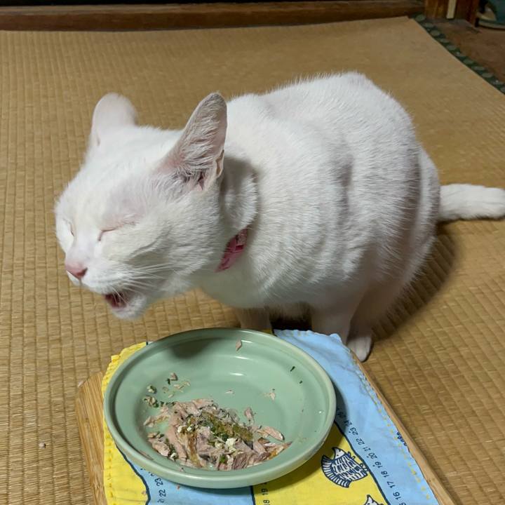 6b1cc7dd 2aae 424f ba15 af3fab716493 1772113340576