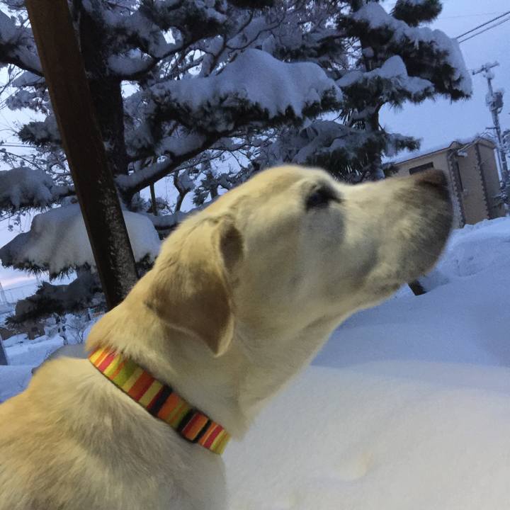 6b1cf191 54e5 447f 853f ec909e45e9f0 1515707953837