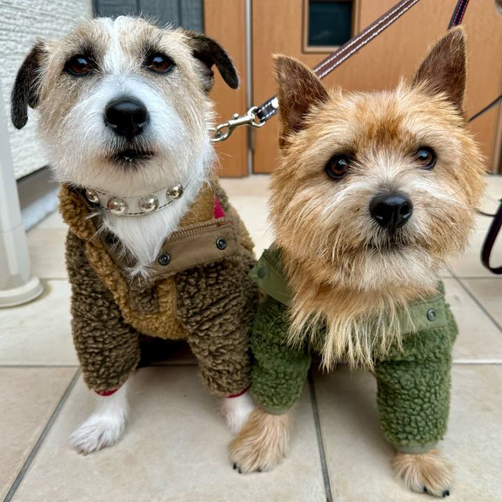 6b1d2a9b 3b58 4ae5 b50a d0d35d2a3b5f 1736675455563