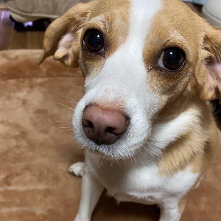 6b1d6fea 2164 4cfc bda7 d040a8b54254 1631684982239